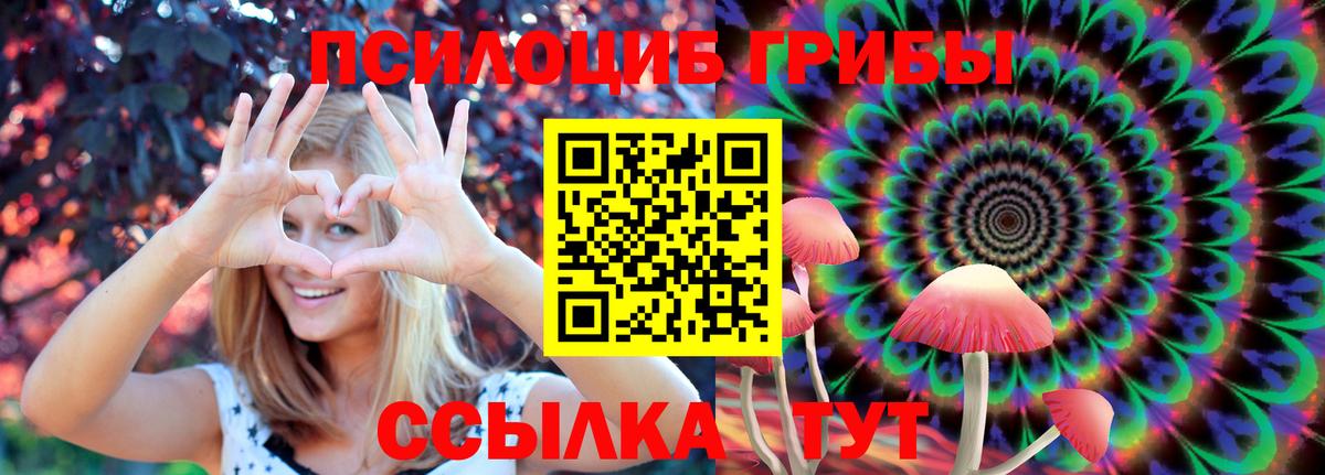 Псилоцибиновые грибы Psilocybine cubensis Ревда