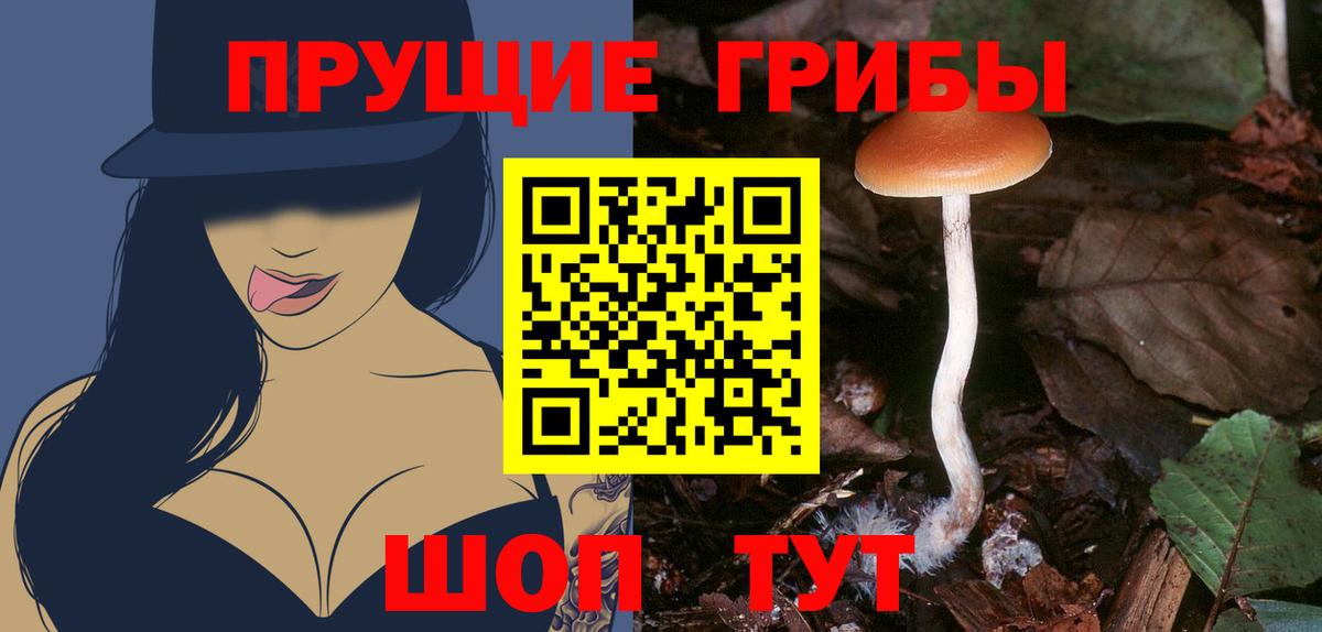 Ревда  дарнет шоп  Вход с VPN  Псилоцибиновые грибы Psilocybine cubensis 